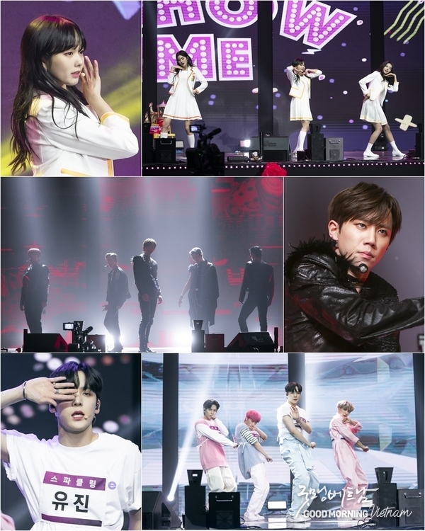 카지노사이트