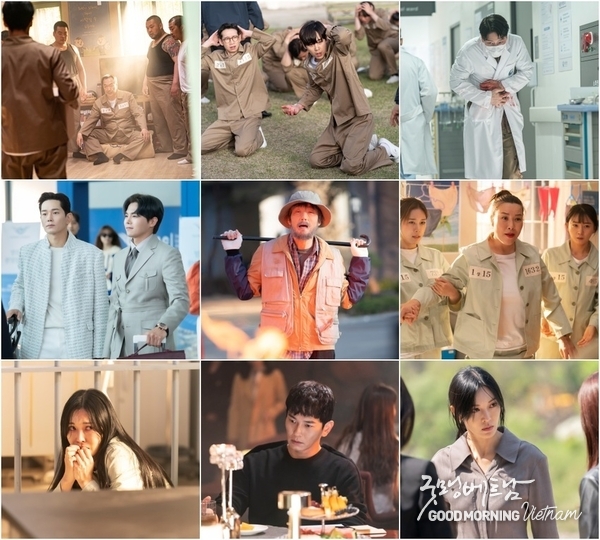 온라인 카지노 합법 사이트