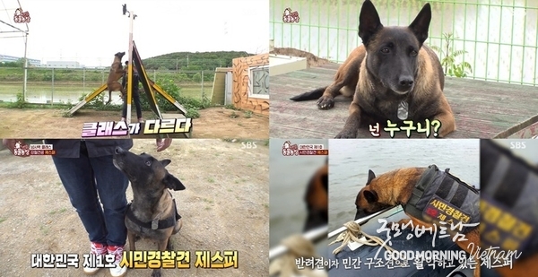 카지노 사이트 추천