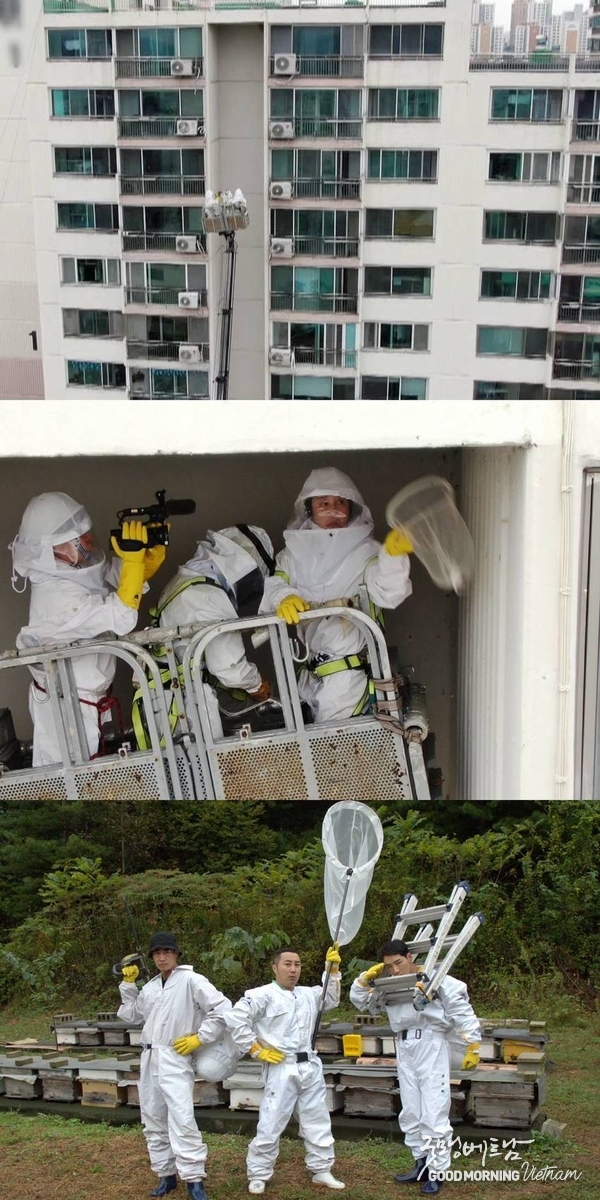 온라인 카지노 합법 사이트