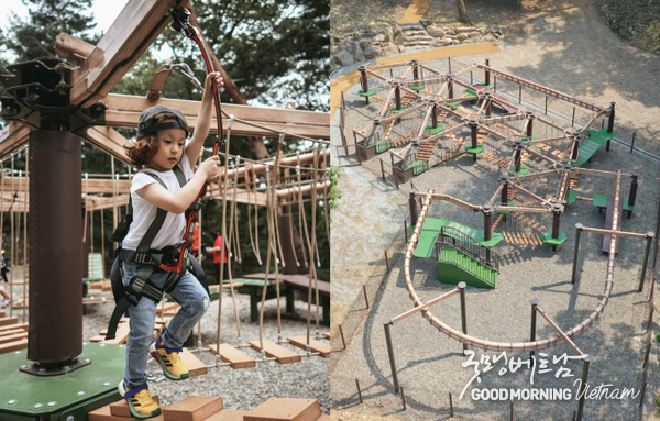 메이저사이트