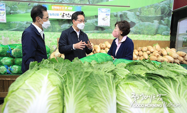 온라인 카지노 합법 사이트