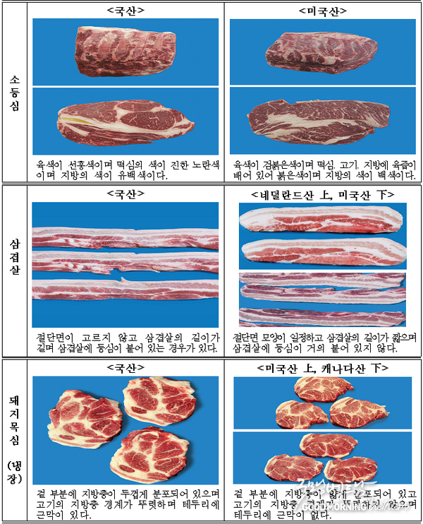 꽁 머니 카지노 3 만