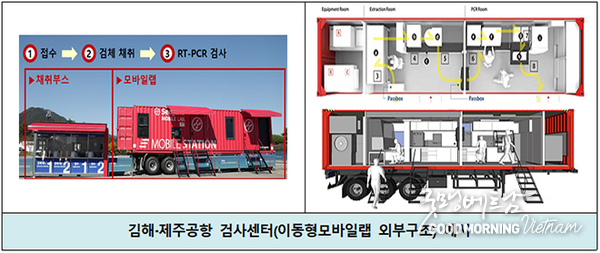 온라인 카지노