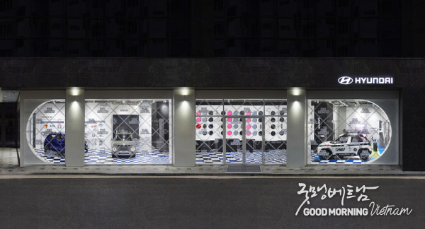 에볼루션 카지노 사이트