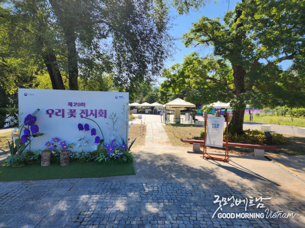 카지노 사이트 추천