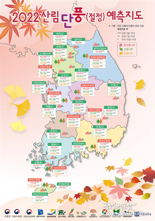 카지노사이트