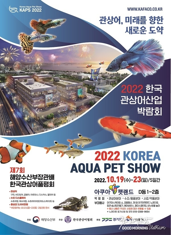 온라인 카지노 합법 사이트