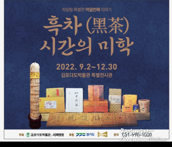 에볼루션 카지노 사이트