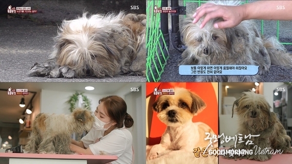 우리 카지노