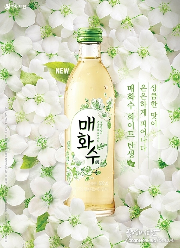 온라인 카지노 추천