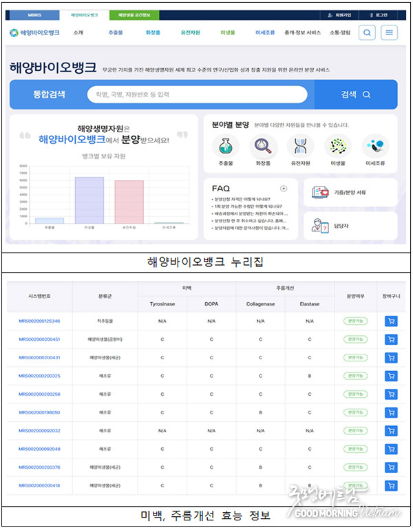 메이저사이트