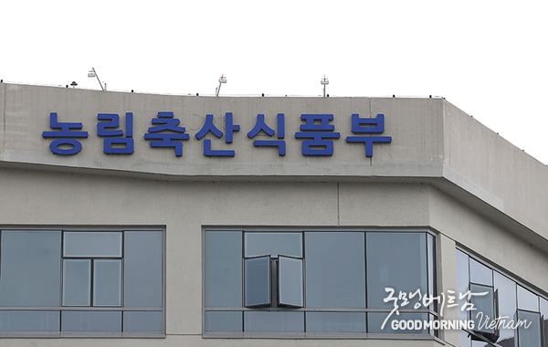 온라인 카지노 합법 사이트