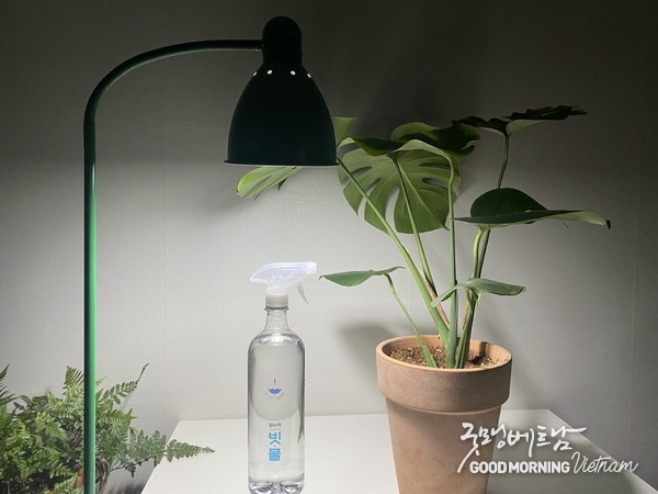 꽁 머니 카지노 3 만