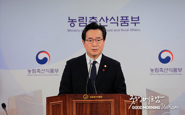카지노 사이트 추천
