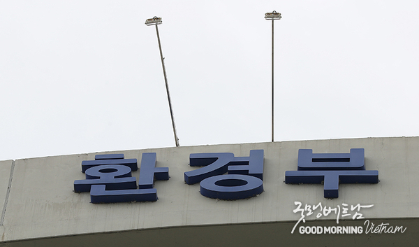 에볼루션 카지노 사이트