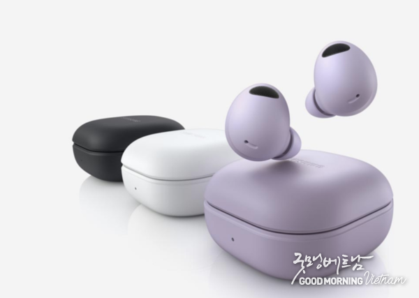 온라인 카지노 추천