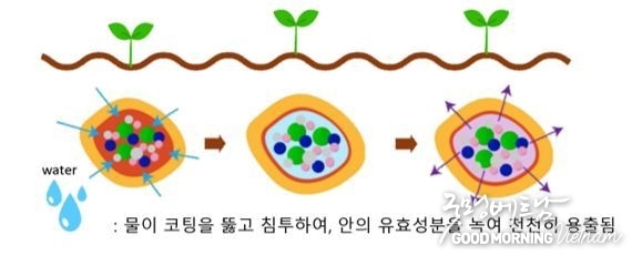 메이저사이트