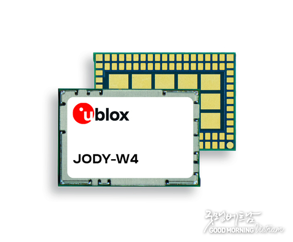 카지노 룰렛 사이트