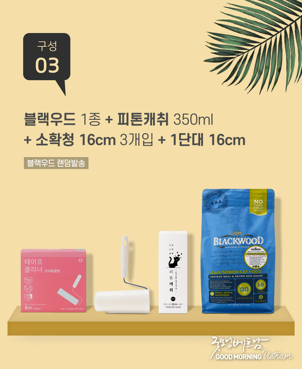 온라인 카지노