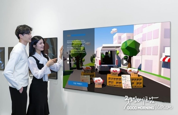 에볼루션 카지노 사이트