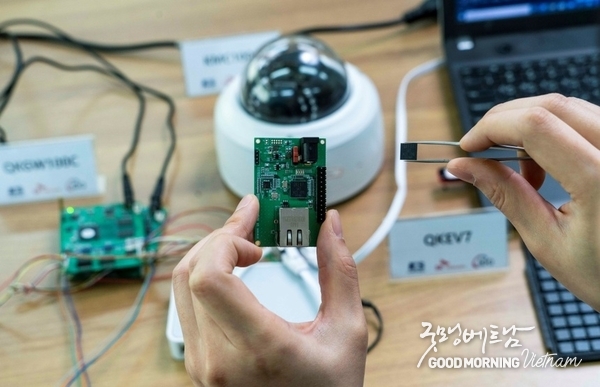 카지노 룰렛 사이트