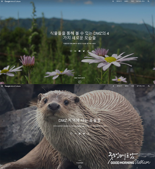 카지노 사이트 추천