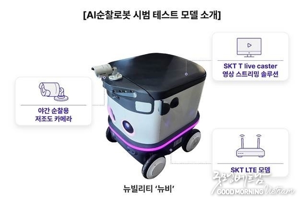 온라인 카지노