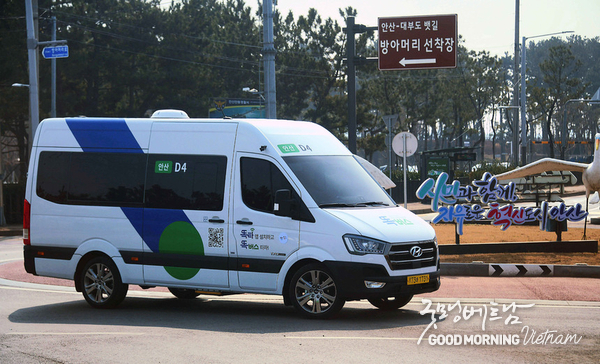 에볼루션 카지노 사이트