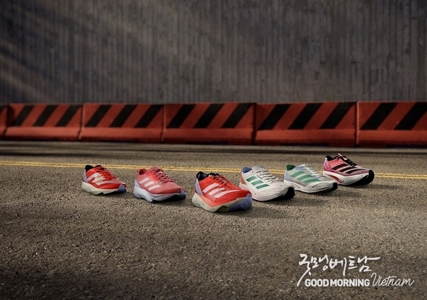 온라인 카지노 합법 사이트