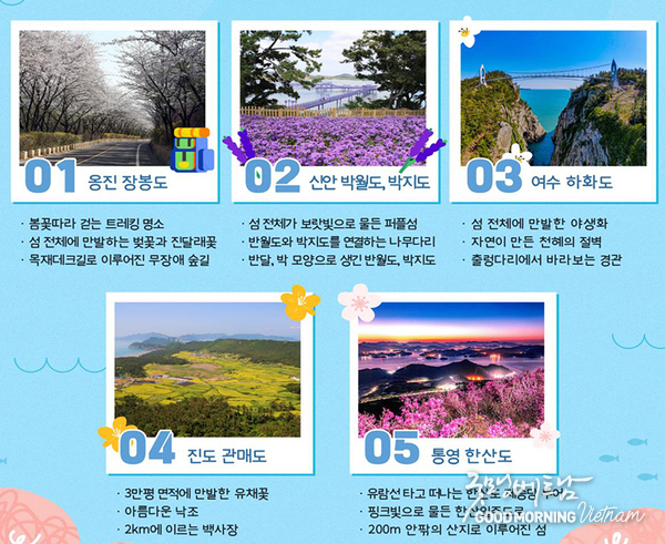 카지노 게임