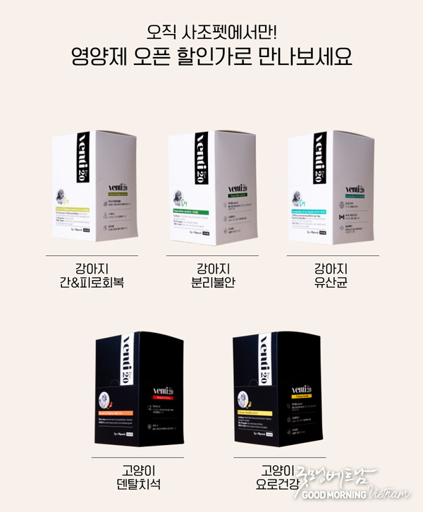 카지노사이트