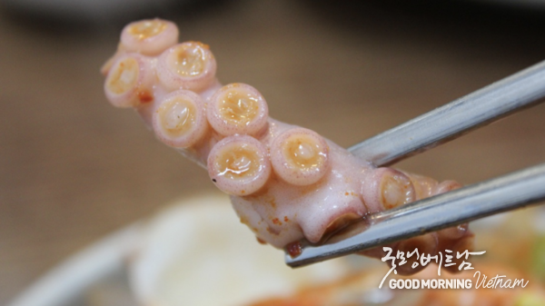 에볼루션 카지노 사이트