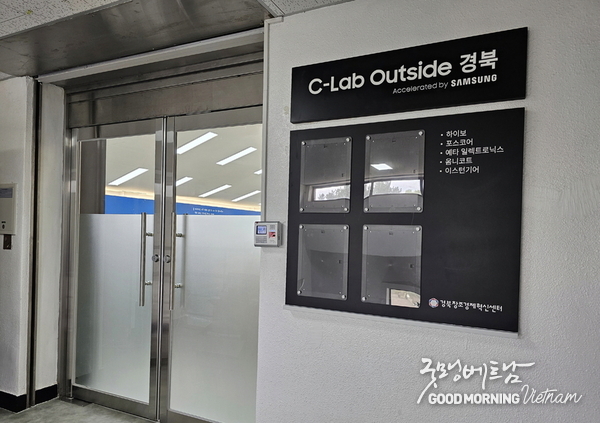 온라인 카지노 합법 사이트
