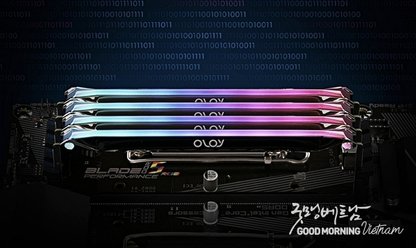 카지노 룰렛 사이트