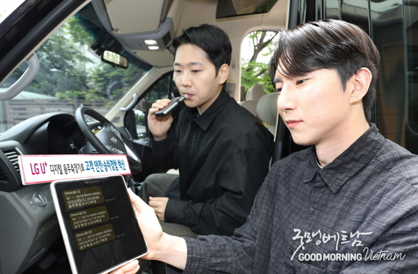 카지노 사이트 추천