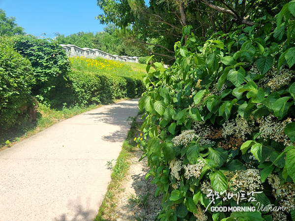 카지노 커뮤니티