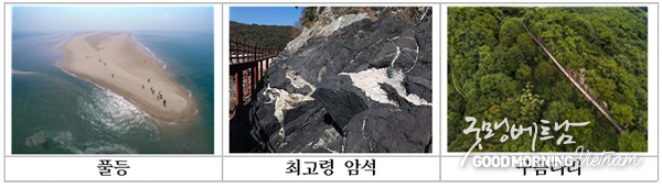 카지노