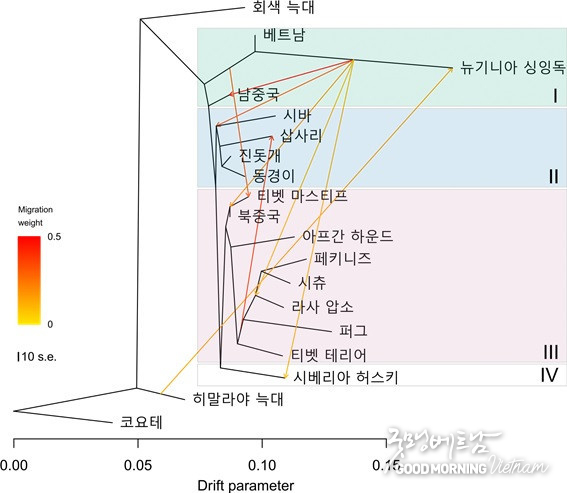 카지노사이트