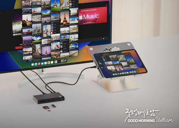 온라인 카지노 합법 사이트