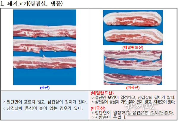 우리 카지노
