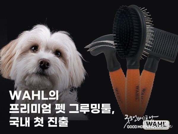 카지노 커뮤니티