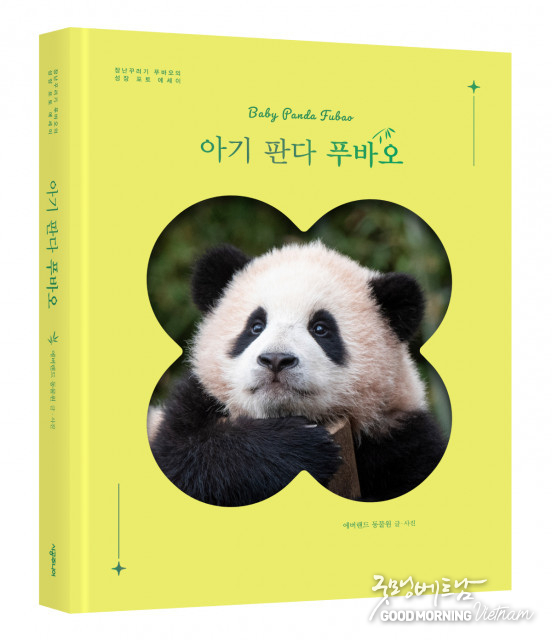 온라인 카지노