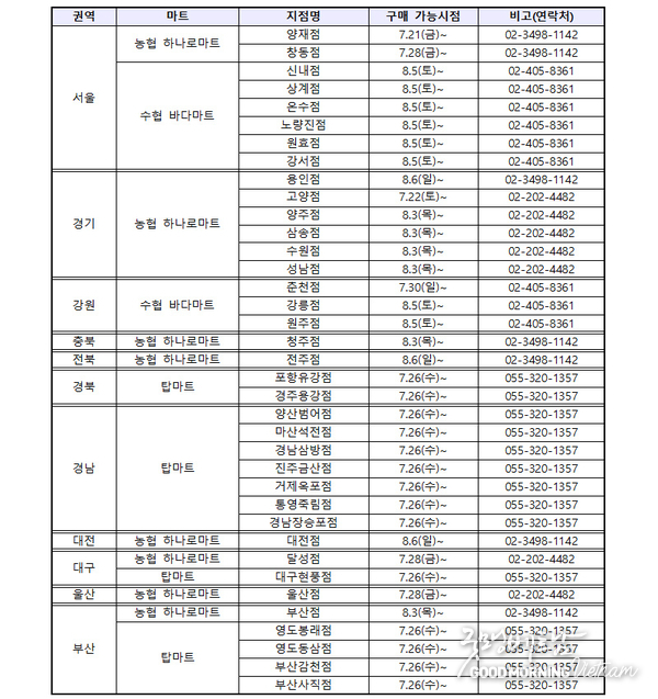 카지노 게임