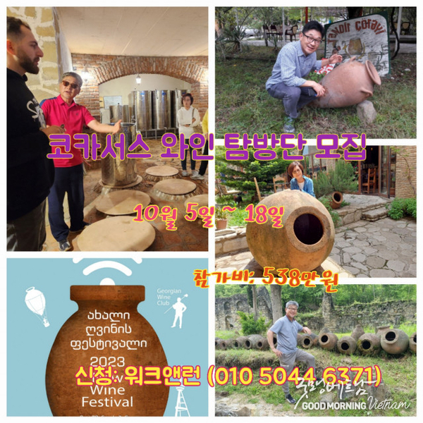 카지노 사이트 추천