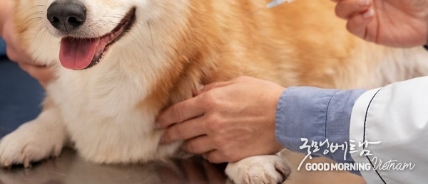 꽁 머니 카지노 3 만