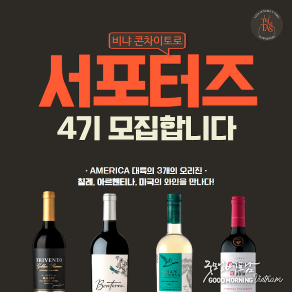 카지노 게임