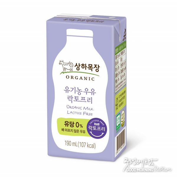 온라인 카지노