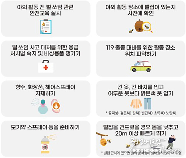 온라인 카지노 합법 사이트