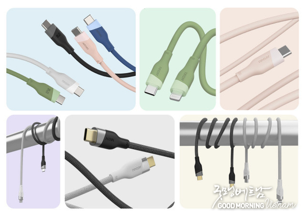에볼루션 카지노 사이트